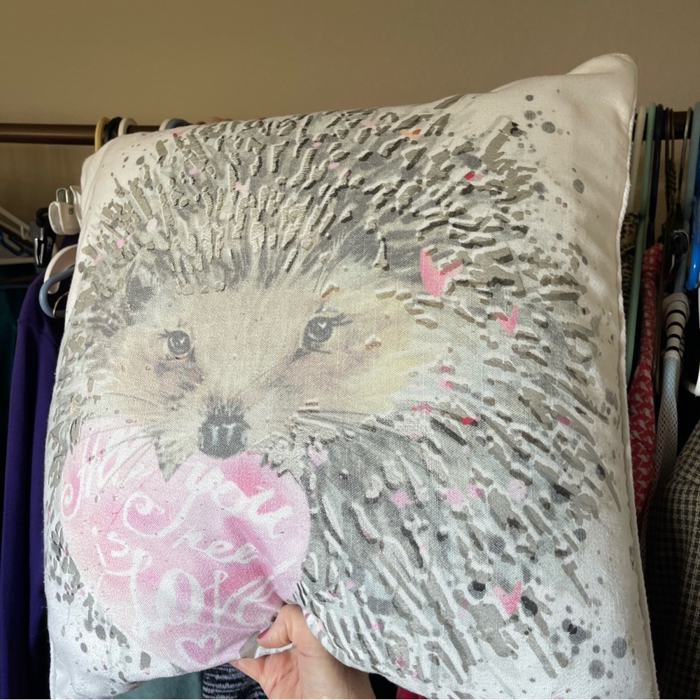 Hedgehog down decorative pillow.